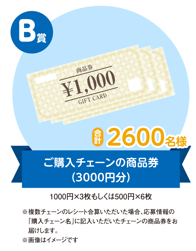 ご購入チェーンの商品券（3000円分）